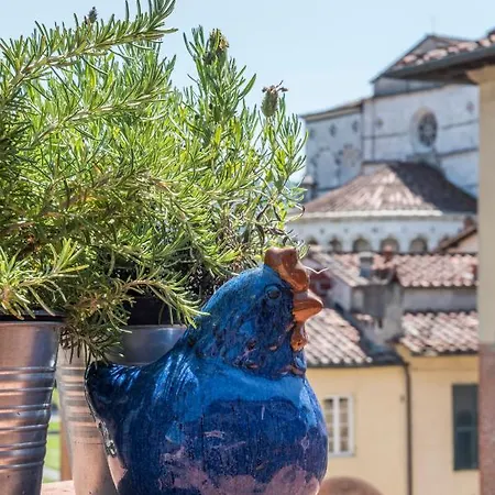 Appartement La Terrazza Coccodè